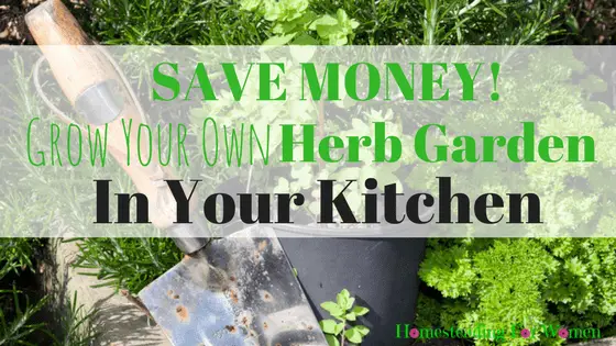 Herb Garden In Your Kitchen