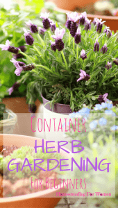 Container Herb Gardening For Beginners (1)