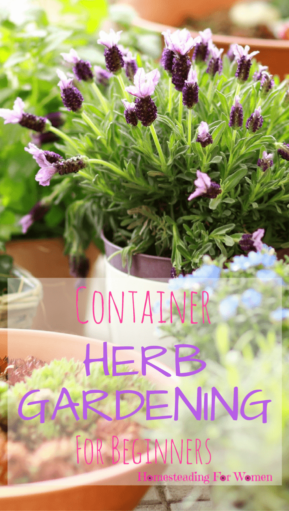 Container Herb Gardening For Beginners Homesteading For