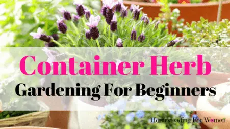Container Herb Gardening For Beginners tips
