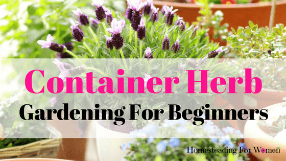 Container Herb Gardening For Beginners tips