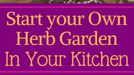 Start Your Own Herb Garden In Your Kitchen