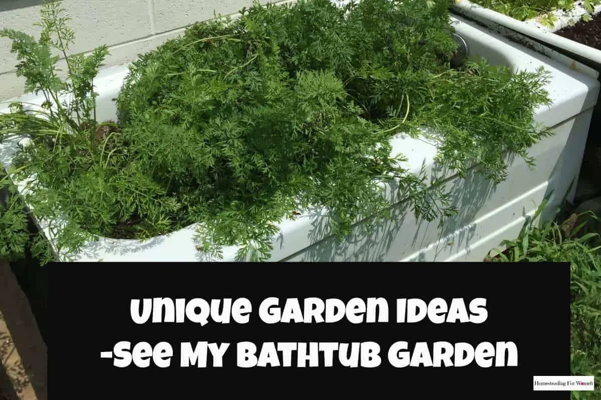 Unique Garden Ideas Check out my bathtub garden