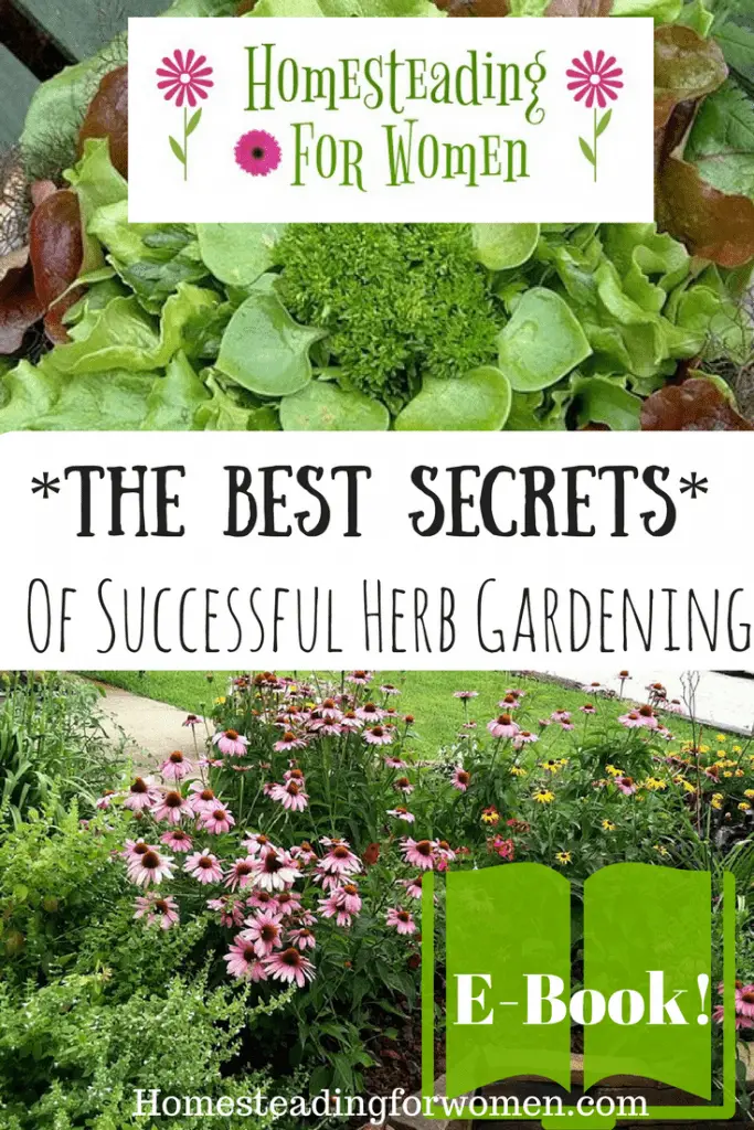 Best Secrets of Successful Herb Gardening