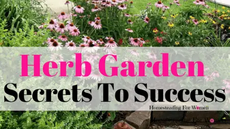 Herb Garden Secrets To Success