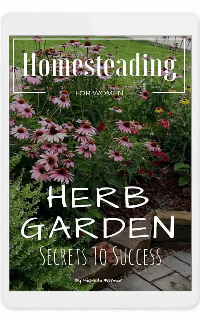 Homesteading for Women's Secrets To Success Herb Gardening ebook