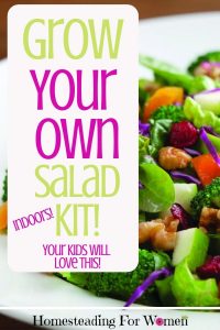 Grow your own salad kit Indoors