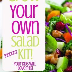 Grow your own salad kit Indoors