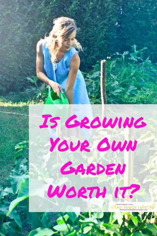Growing Own Garden Worth It?