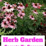 Herb Garden Secrets to success