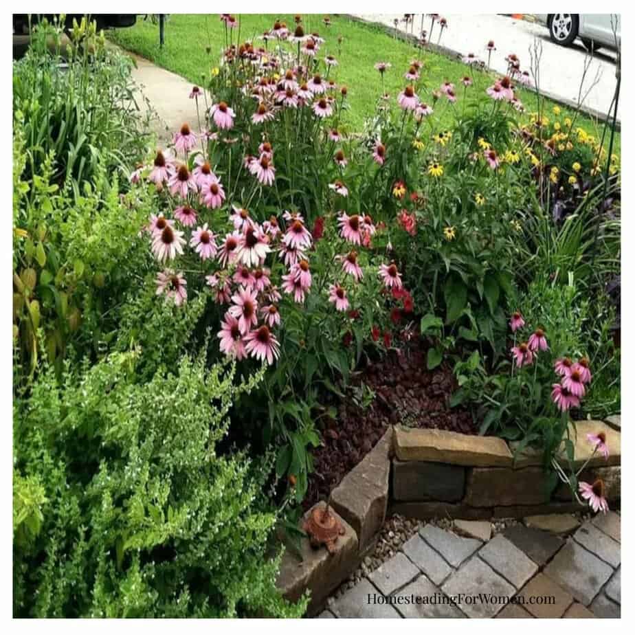 Herb and Flower Garden Ideas