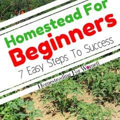 Homestead For Beginners 7 Easy Steps To Success