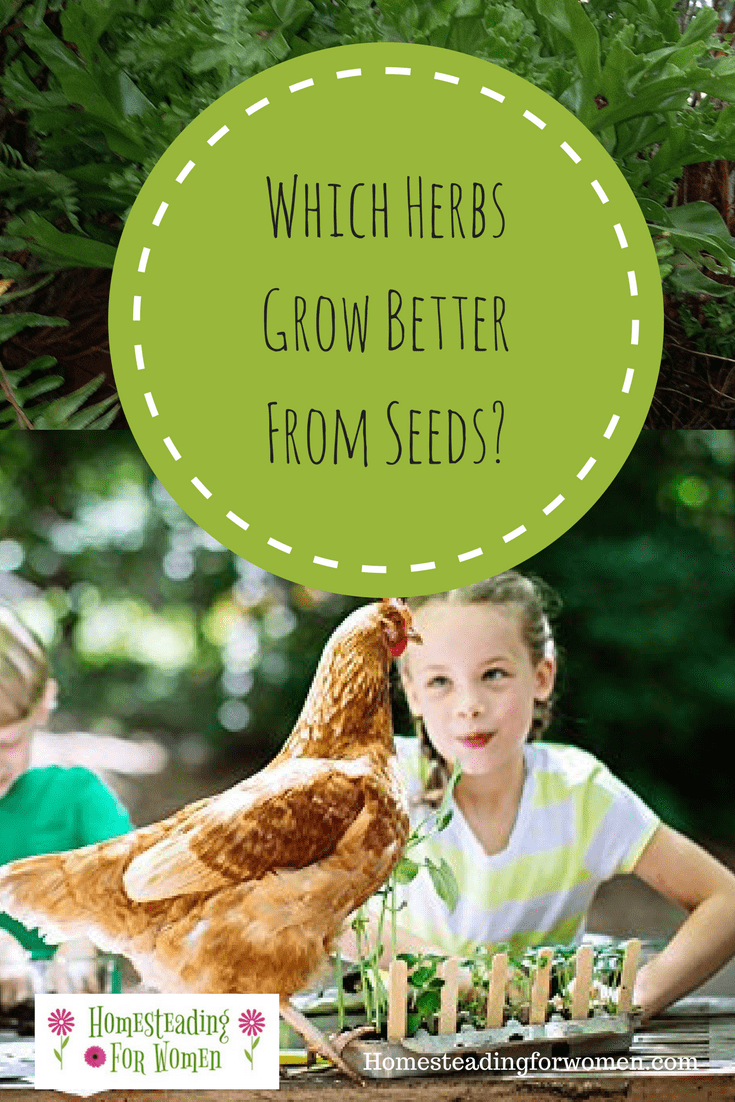 indoor Herb Garden kit
