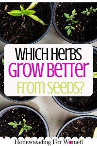 Which Herbs Grow Better From Seeds