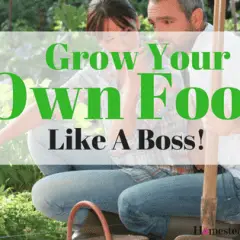 Grow your own food like a boss