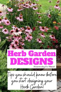 Herb Garden Designs -3 Things You Should Know Before You Plan Yours