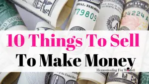 10 Things To sell To Make Money