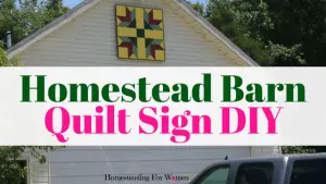 Homestead Barn Quilt Sign DIY