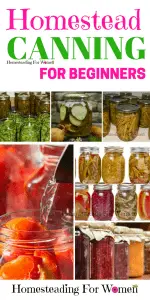 Homestead Canning Tips For beginners (1)