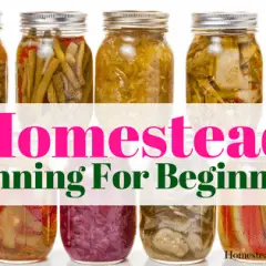 best canning equipment for beginners