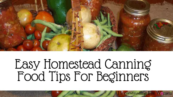 Homestead canning food for beginners