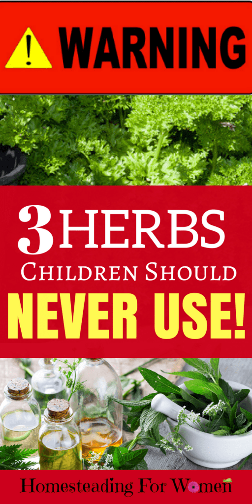 Warning 3 Herbs Children Should Never Use, they can be deadly.