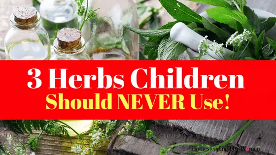 Warning 3 Herbs Children Should Never Use