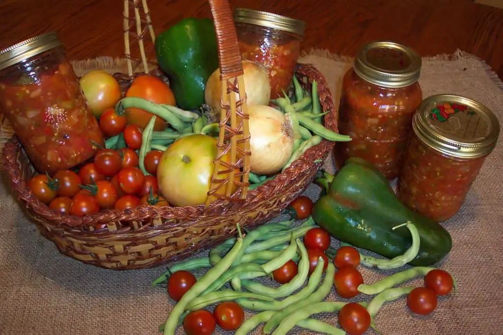 Homestead Canning Food For Beginners