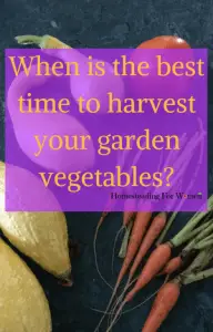 Harvest Garden Veggies