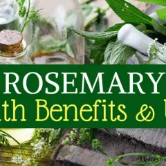Rosemary Health Benefits