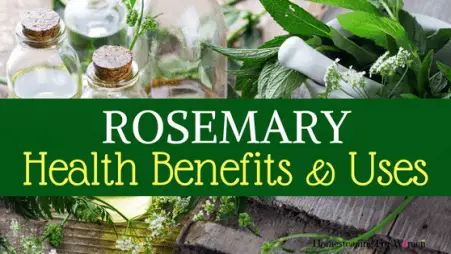 Rosemary Health Benefits