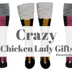 Crazy chicken lady gifts