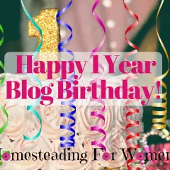 Happy 1st Blog BIrthday