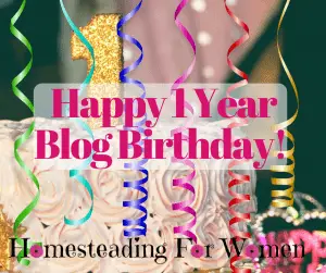 Happy 1st Blog BIrthday