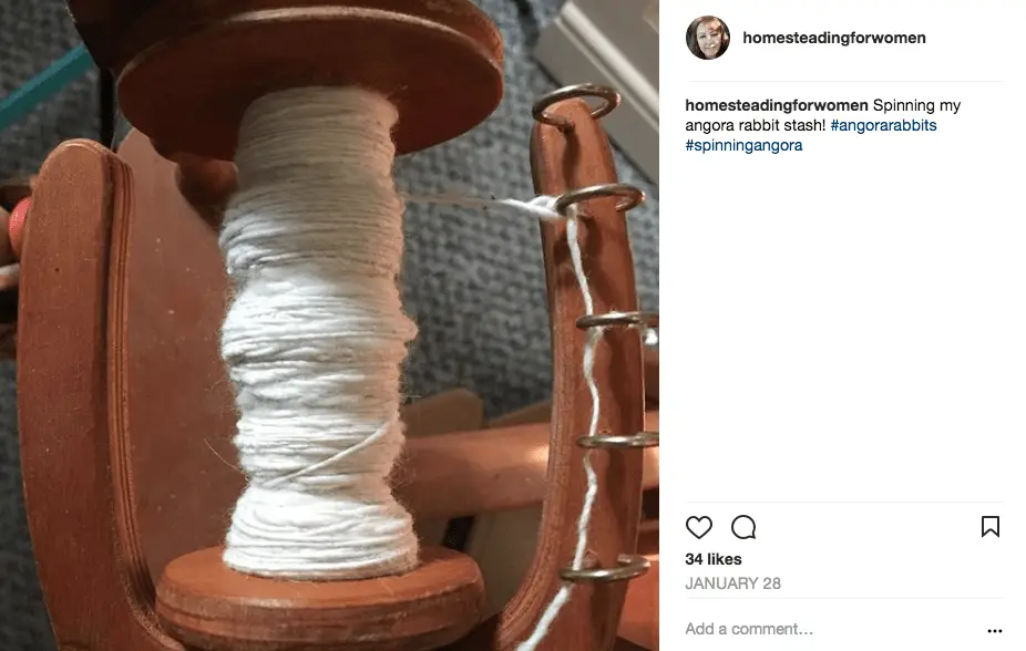 Angora Rabbit Wool Spinning project