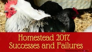 2017 Homestead success and failures