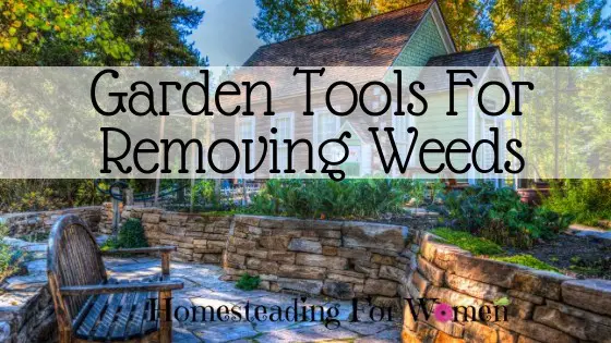 Garden Tools For Removing Weeds