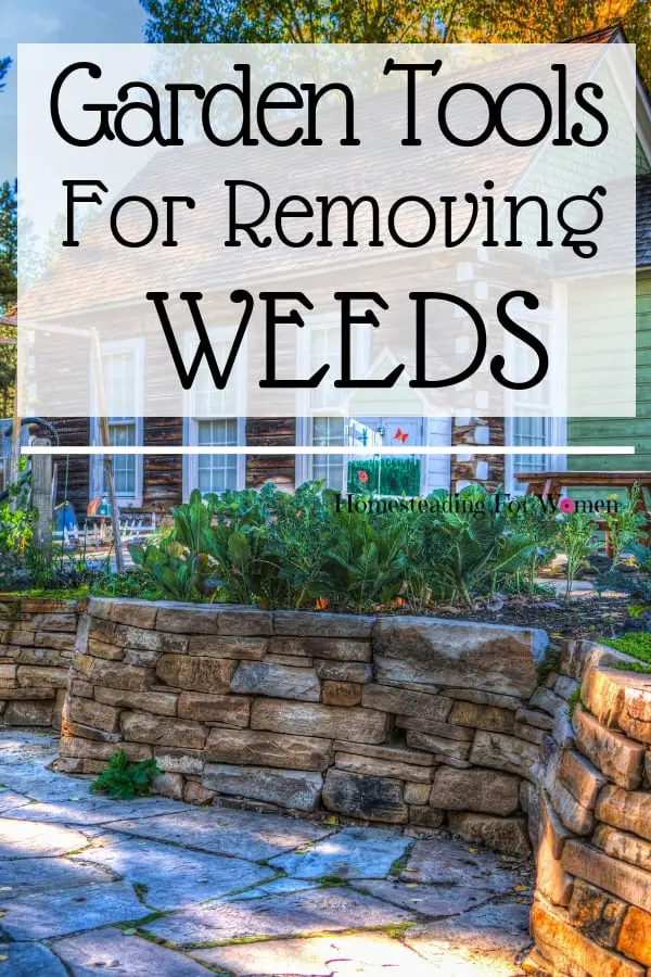 Garden tools for removing weeds on your homestead