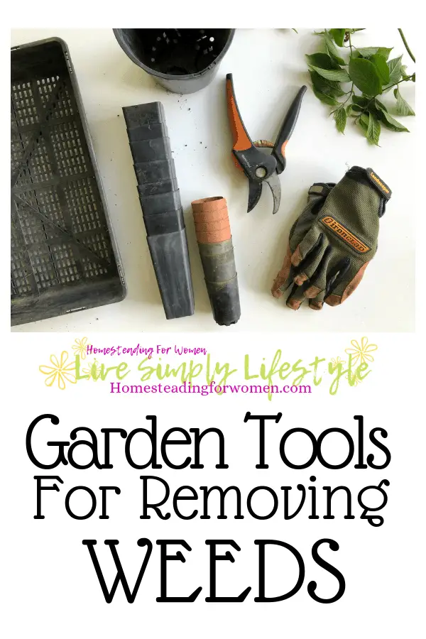 Garden tools for removing weeds-min