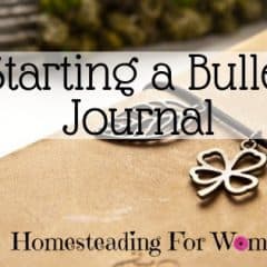 Starting a Bullet Journal Homestead