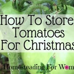 How to store tomatoes for Christmas