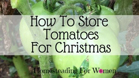 How to store tomatoes for Christmas