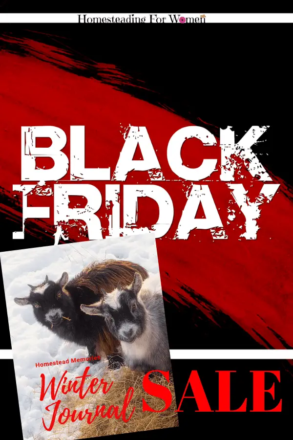 Black Friday Sale-