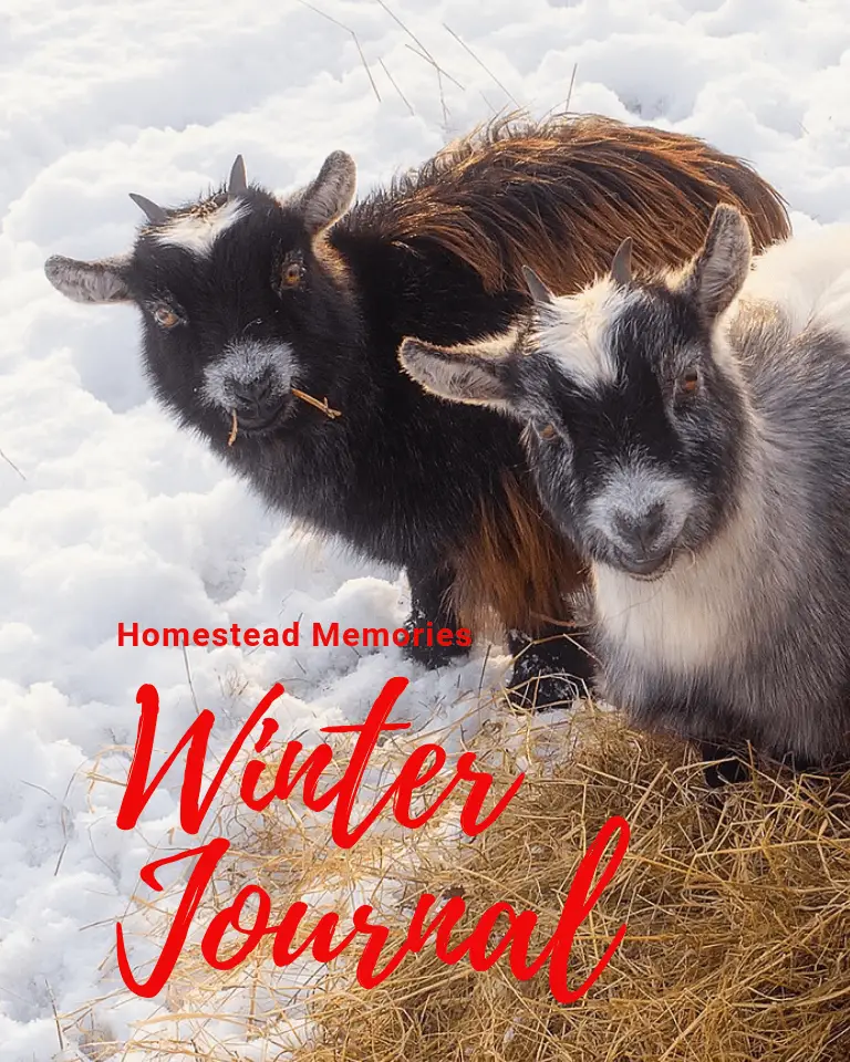 Homestead memories Winter Journal