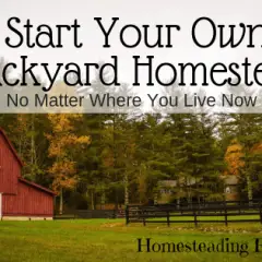 13 Easy Steps To Start Your Own Backyard Homestead No Matter Where You Live Now-min