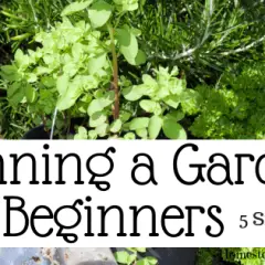Planning a Garden For Beginners 5 Simple Tips-min
