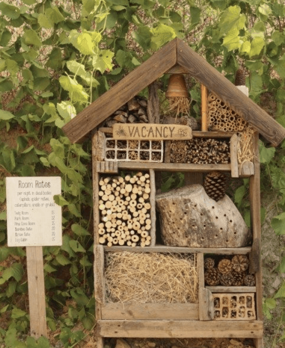 Insect hotel bee bug house