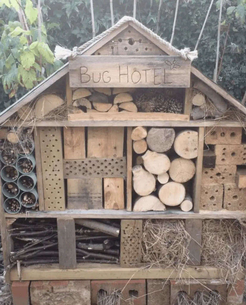 Insect hotel for garden