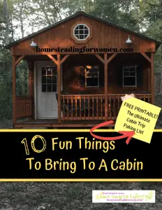 10 Fun Things To Bring To a Cabin-min