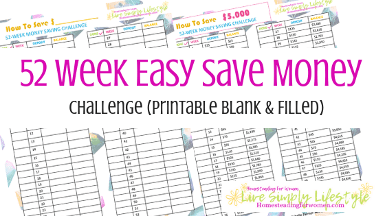 52 Week Easy Save Money Challenge Printable 2019-min